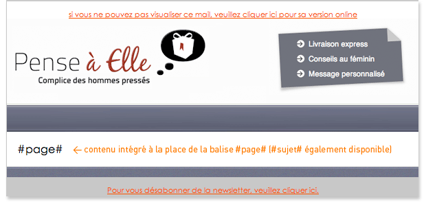 exemple de gabarit de newsletter