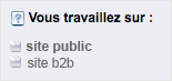 s&eacute;lecteur de site